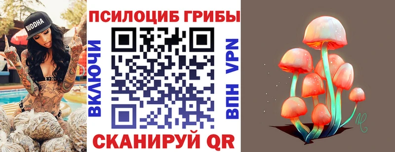 купить закладку Ивдель Псилоцибиновые грибы Psilocybine cubensis